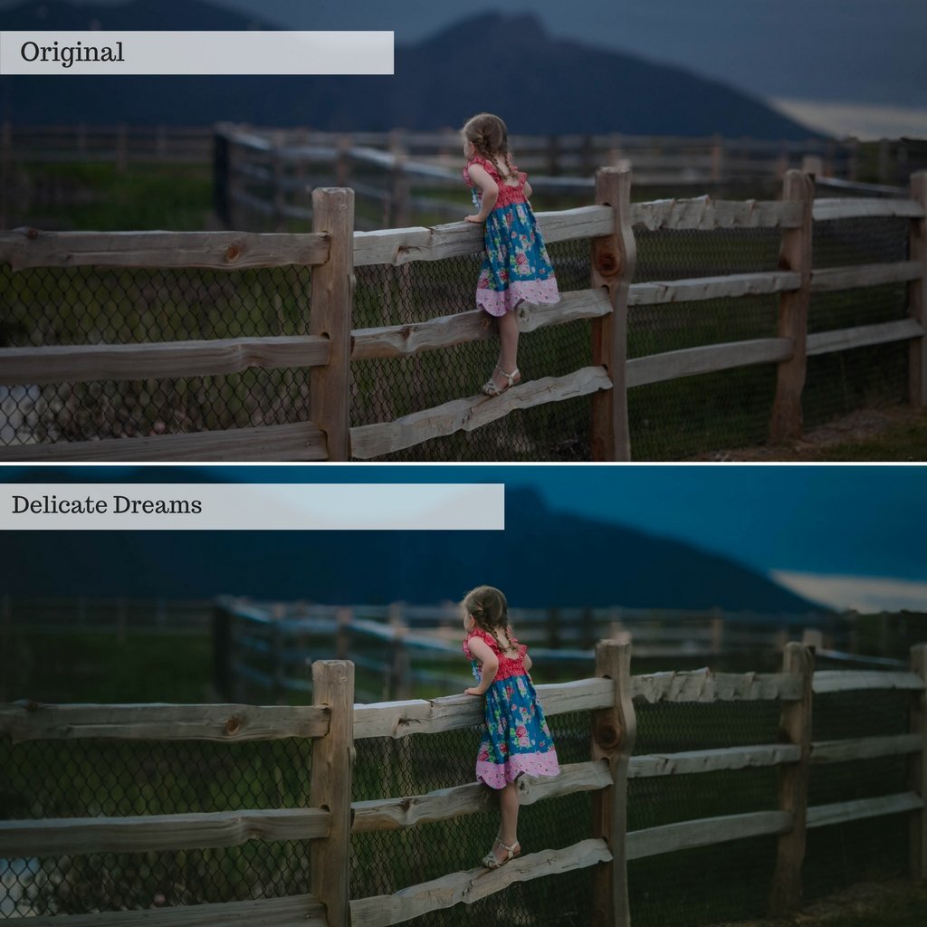 2025 Everything, Entire Store Lightroom Preset Bundle (98 Collections!)