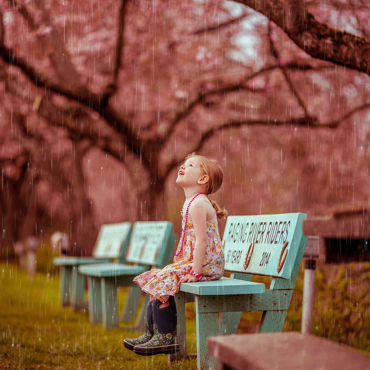 Rain & Rainbow Overlays – Photoshop & More