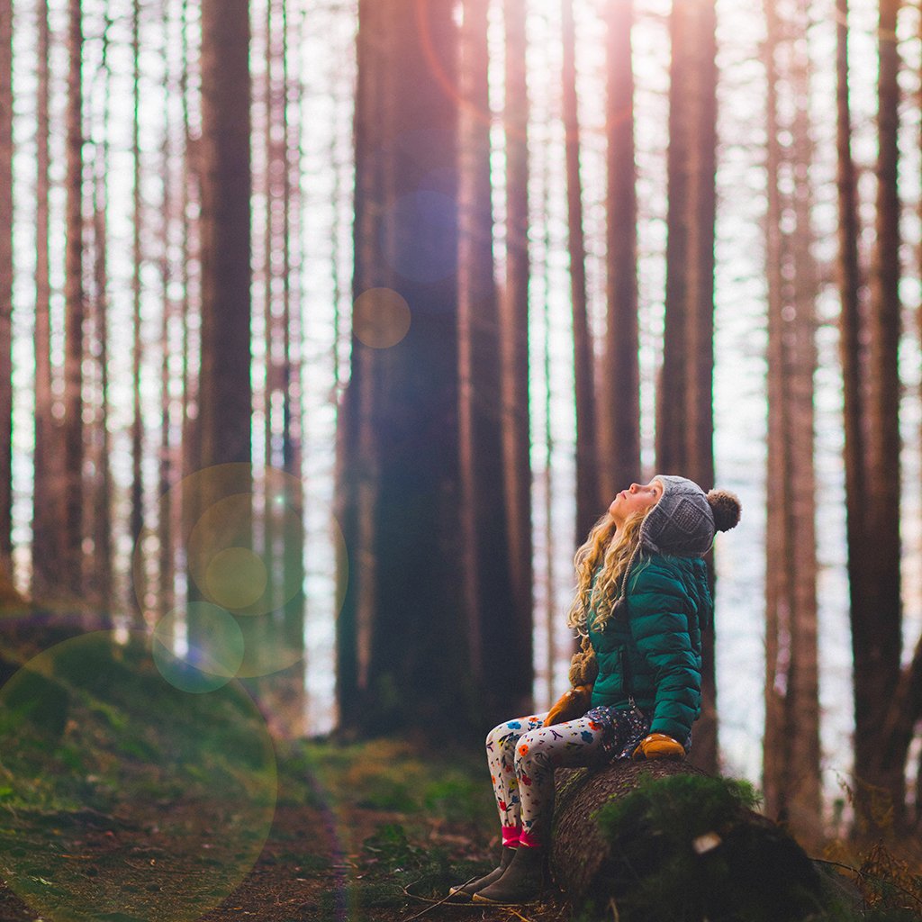 Lens Flares & Light Leaks Overlays – Photoshop & More