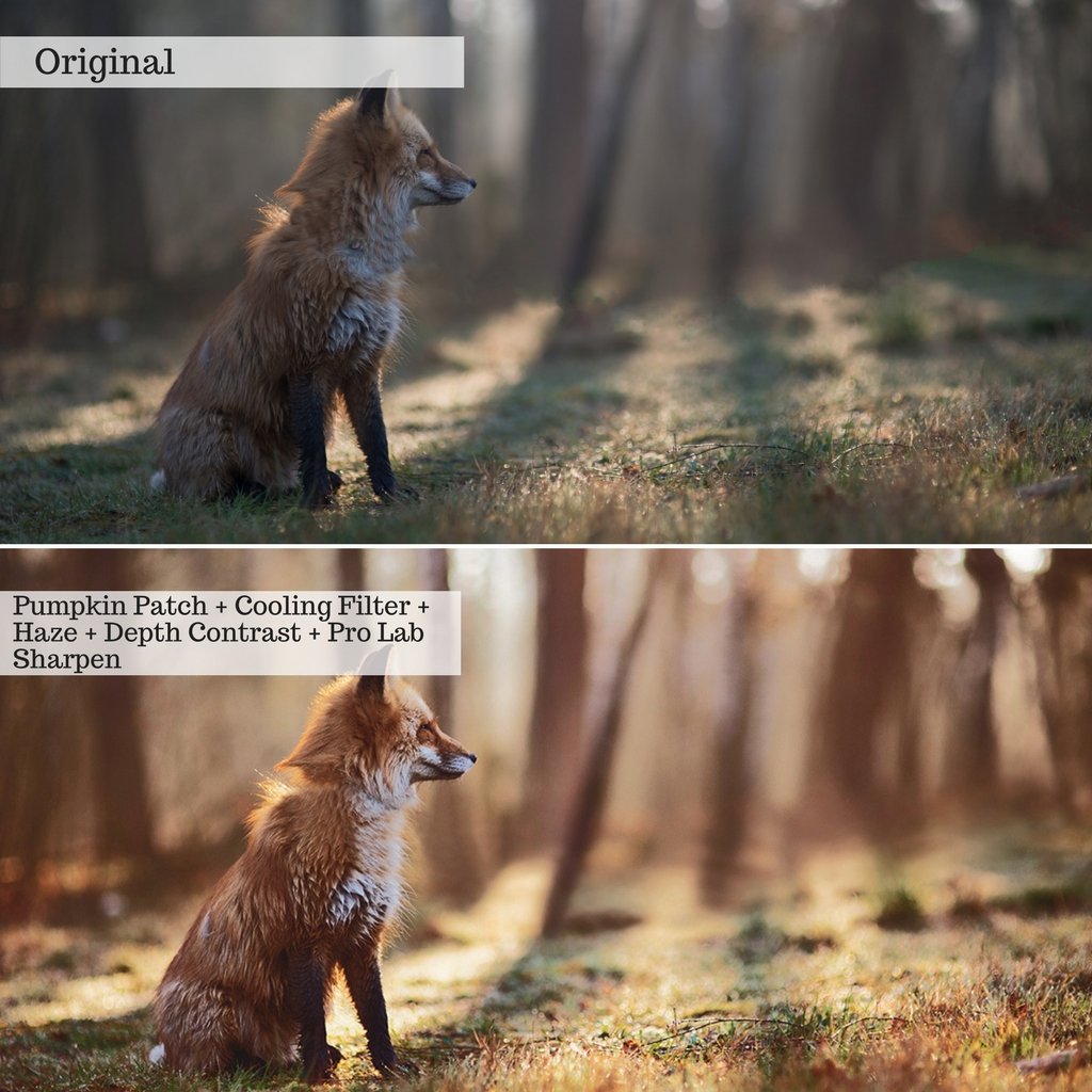 Apple Orchards Autumn Photoshop Actions