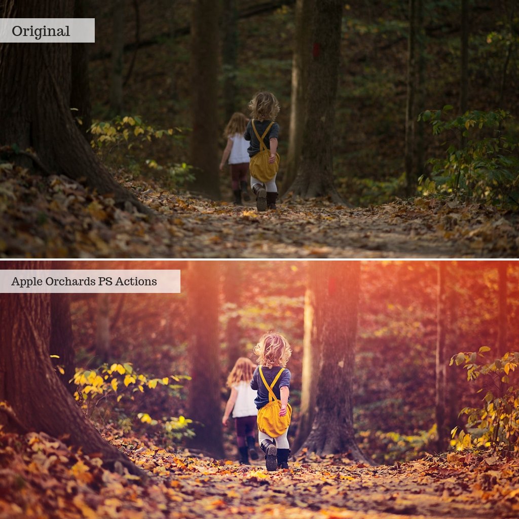 Apple Orchards Autumn Photoshop Actions