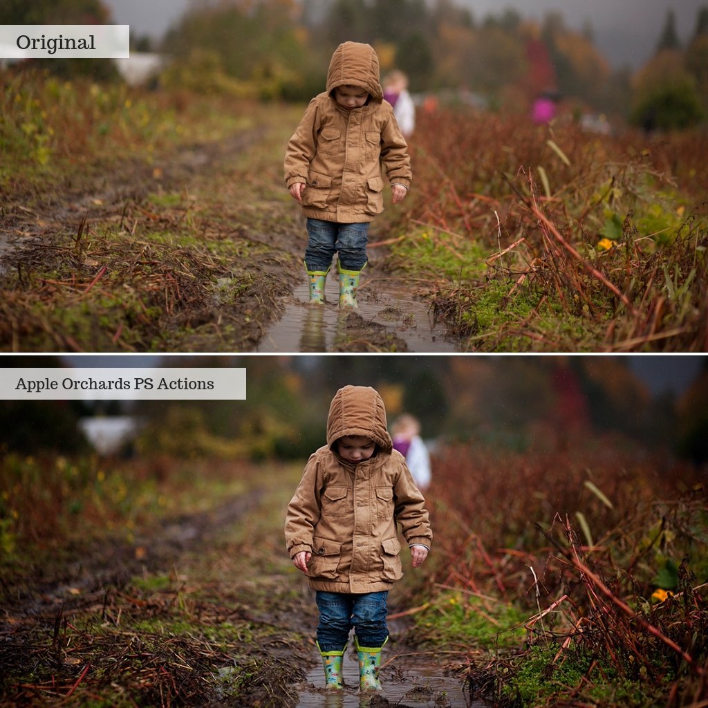 Apple Orchards Autumn Photoshop Actions