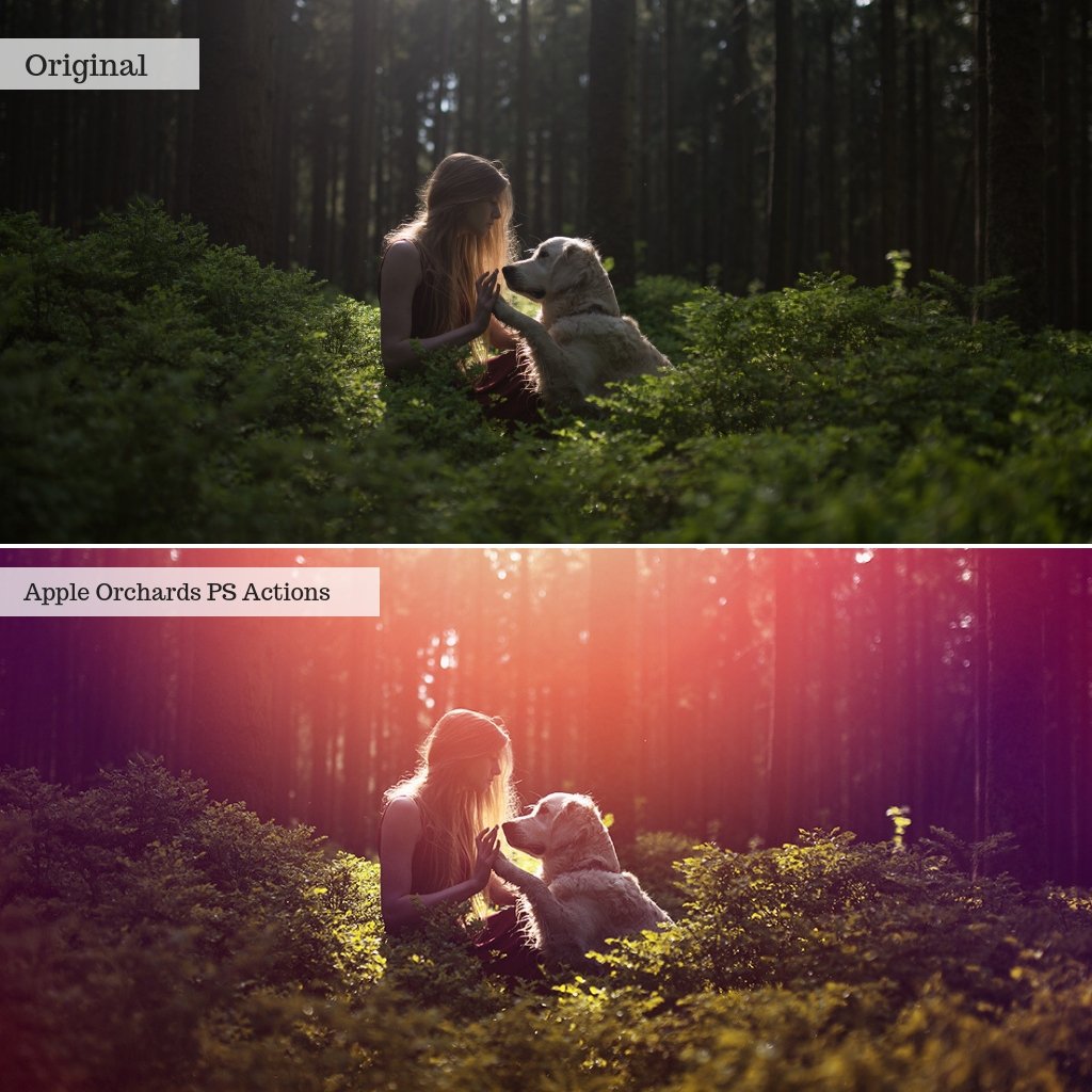 Apple Orchards Autumn Photoshop Actions