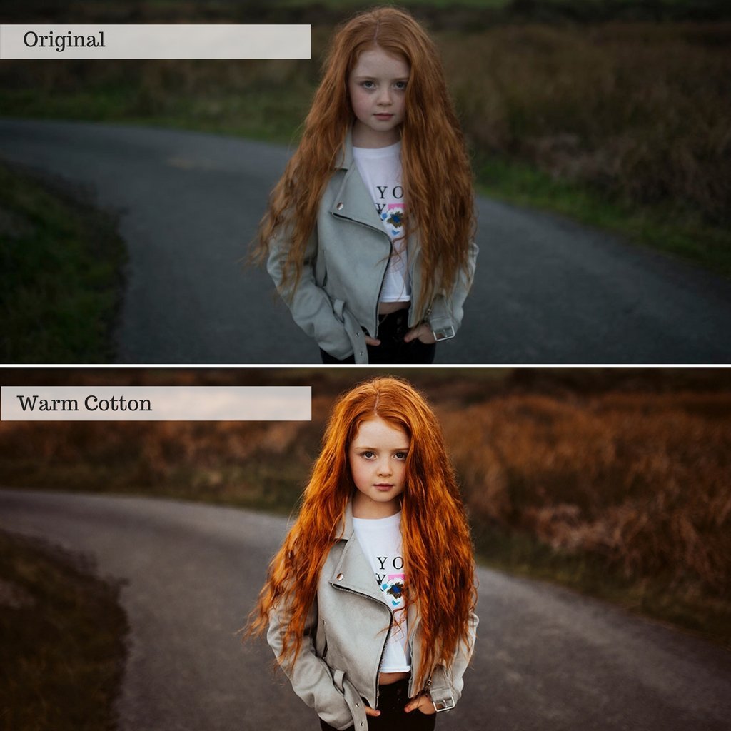 2025 Everything, Entire Store Lightroom Preset Bundle (98 Collections!)