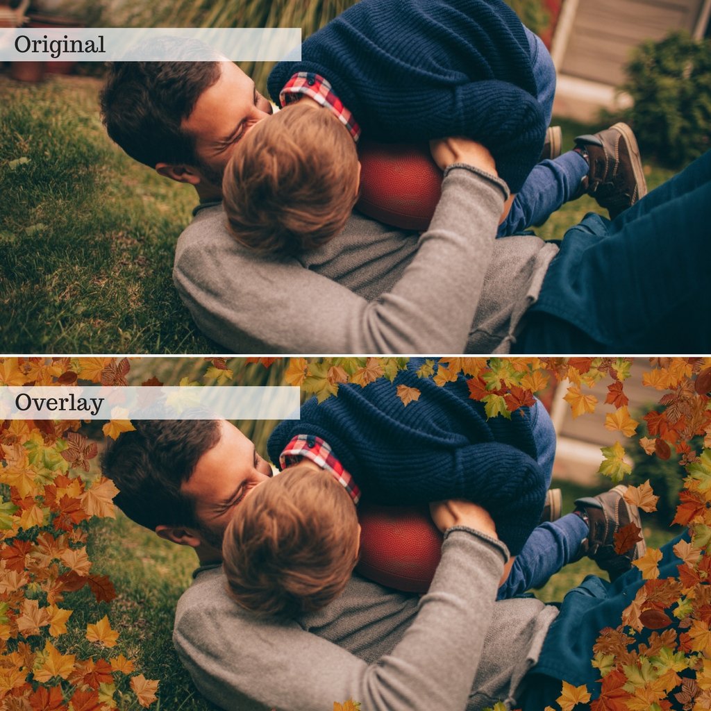 Leaf Overlays – Photoshop & More