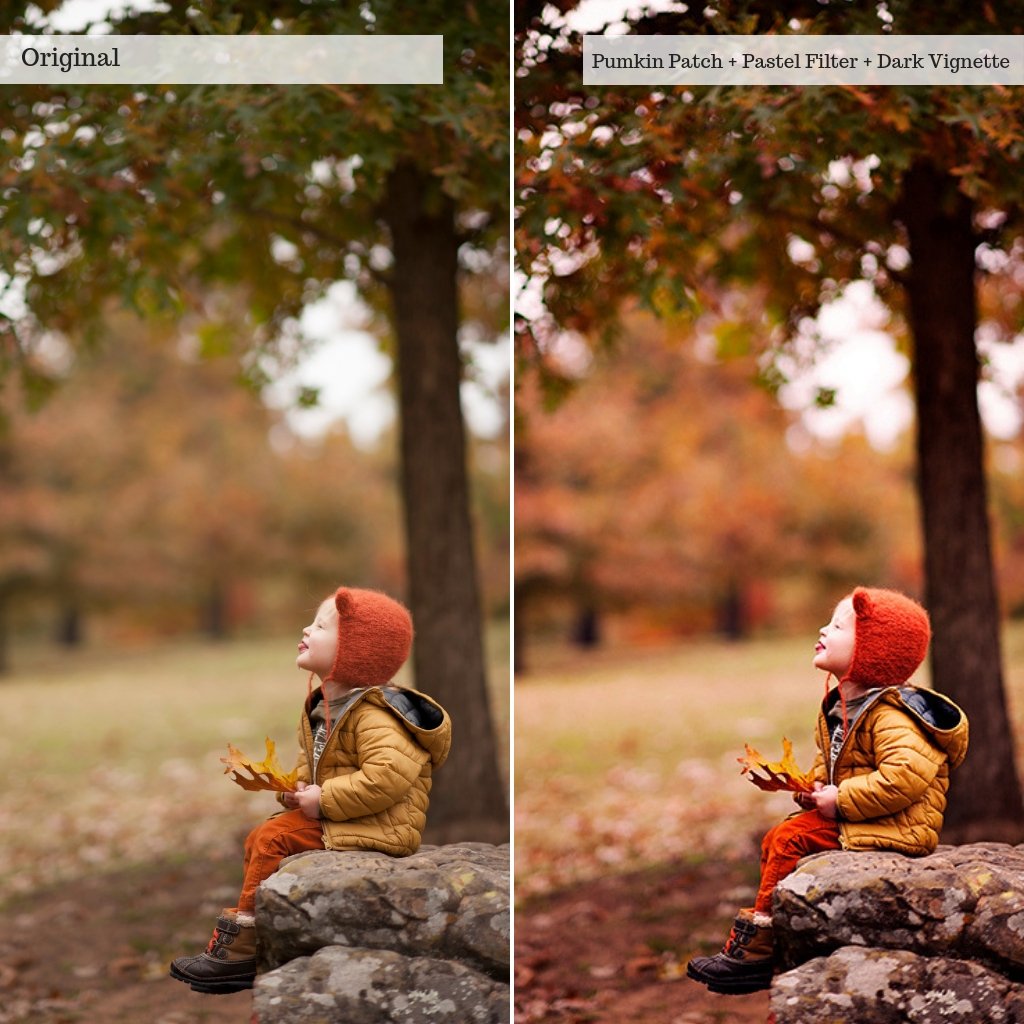 Apple Orchards Autumn Photoshop Actions