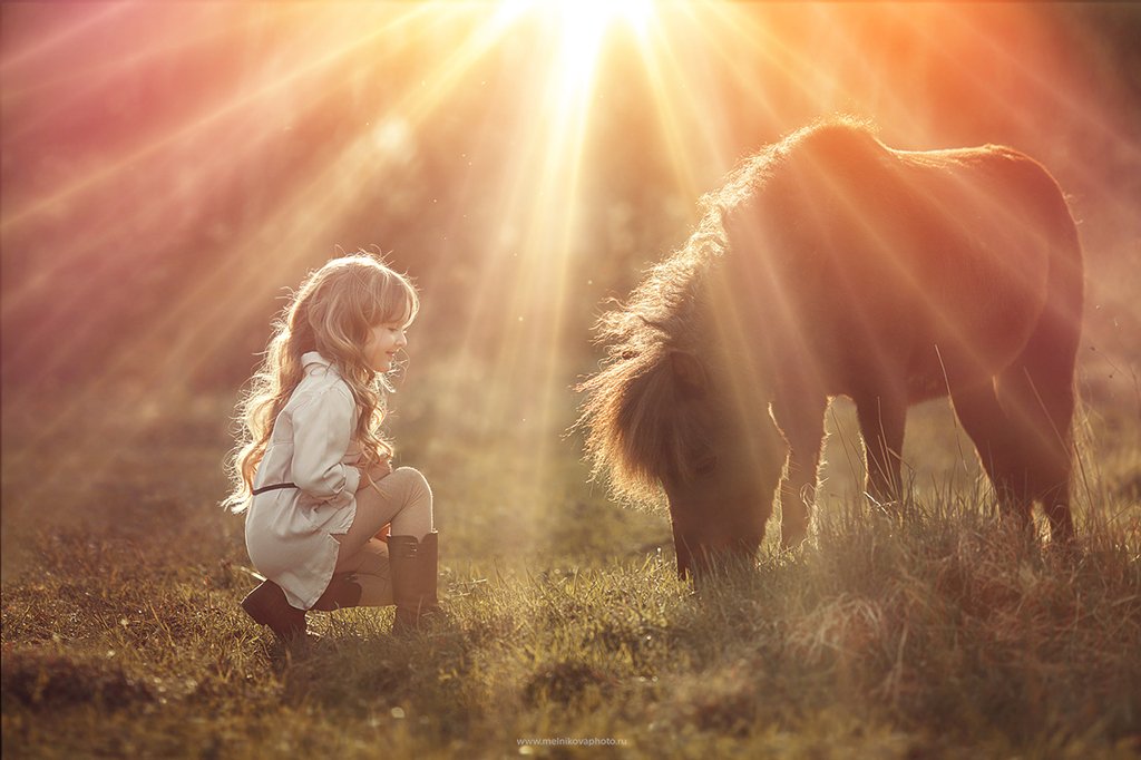 Sun Flare Overlays – Photoshop & More